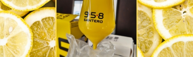 Calice Santero 958 in ABS da Collezione